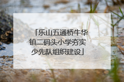 乐山五通桥牛华镇二码头小学夯实少先队组织建设