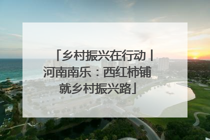 乡村振兴在行动丨河南南乐：西红柿铺就乡村振兴路