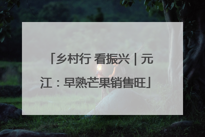 乡村行 看振兴｜元江：早熟芒果销售旺