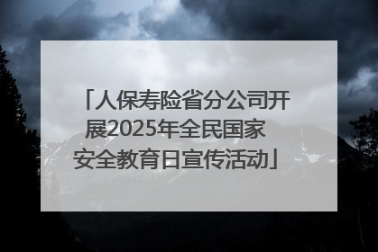 人保寿险省分公司开展2025年全民国家安全教育日宣传活动