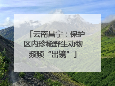 云南昌宁：保护区内珍稀野生动物频频“出镜”