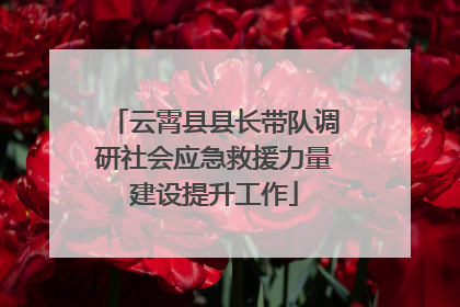 云霄县县长带队调研社会应急救援力量建设提升工作