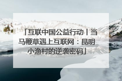 互联中国公益行动丨当马鞭草遇上互联网：昆明小渔村的逆袭密码