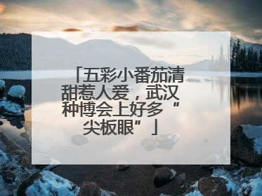 五彩小番茄清甜惹人爱，武汉种博会上好多“尖板眼”