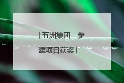 五洲集团一参建项目获奖