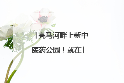 亮马河畔上新中医药公园！就在