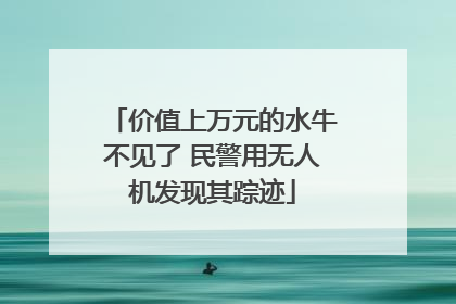 价值上万元的水牛不见了 民警用无人机发现其踪迹