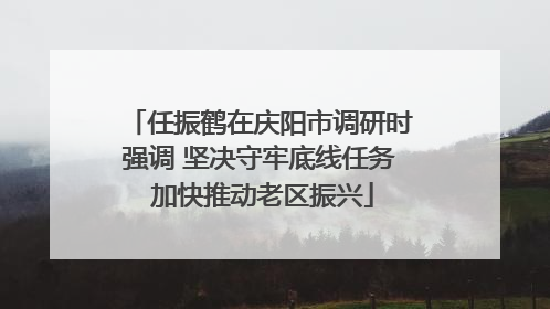 任振鹤在庆阳市调研时强调 坚决守牢底线任务 加快推动老区振兴