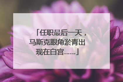 任职最后一天，马斯克眼角淤青出现在白宫……