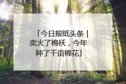 今日报纸头条｜卖火了棉袄，今年种了千亩棉花