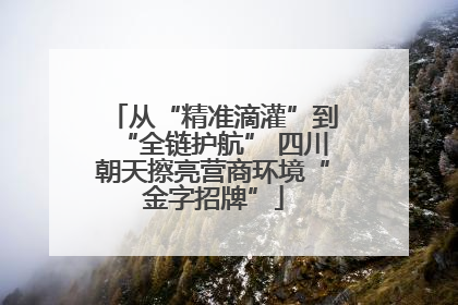从“精准滴灌”到“全链护航” 四川朝天擦亮营商环境“金字招牌”