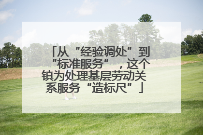 从“经验调处”到“标准服务”，这个镇为处理基层劳动关系服务“造标尺”