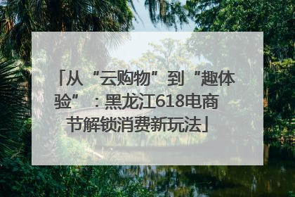 从“云购物”到“趣体验”：黑龙江618电商节解锁消费新玩法