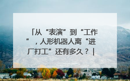 从“表演”到“工作”，人形机器人离“进厂打工”还有多久？｜机器人商业新纪元