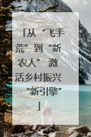 从“飞手荒”到“新农人” 激活乡村振兴“新引擎”