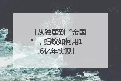 从独居到“帝国”，蚂蚁如何用1.6亿年实现