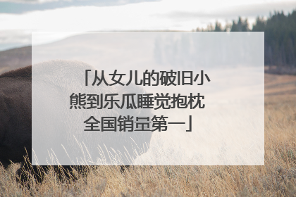 从女儿的破旧小熊到乐瓜睡觉抱枕全国销量第一