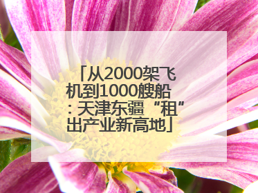 从2000架飞机到1000艘船：天津东疆“租”出产业新高地