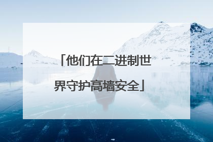他们在二进制世界守护高墙安全