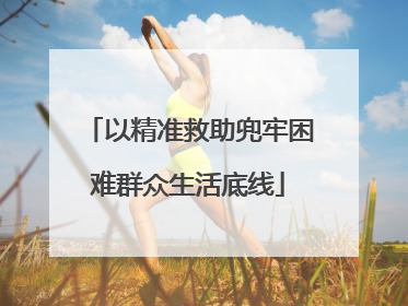 以精准救助兜牢困难群众生活底线