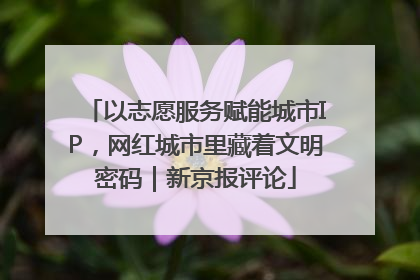 以志愿服务赋能城市IP，网红城市里藏着文明密码｜新京报评论