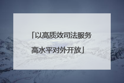 以高质效司法服务高水平对外开放