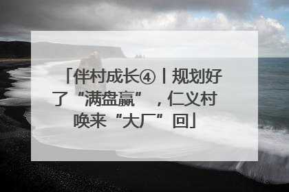 伴村成长④丨规划好了“满盘赢”，仁义村唤来“大厂”回
