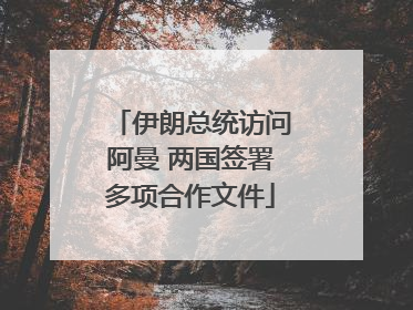 伊朗总统访问阿曼 两国签署多项合作文件