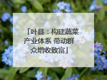 叶县：构建蔬菜产业体系 带动群众增收致富
