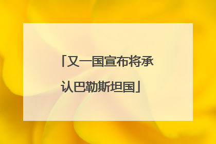 又一国宣布将承认巴勒斯坦国