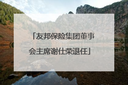 友邦保险集团董事会主席谢仕荣退任