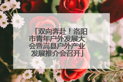 双向奔赴！洛阳市青年户外发展大会暨嵩县户外产业发展推介会召开