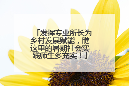 发挥专业所长为乡村发展赋能，瞧这里的暑期社会实践师生多充实！