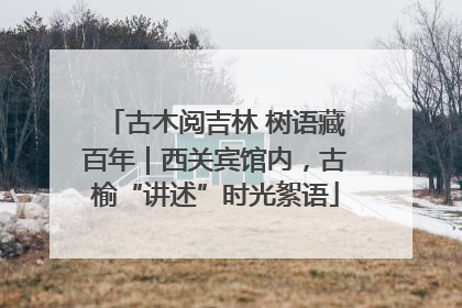 古木阅吉林 树语藏百年｜西关宾馆内，古榆“讲述”时光絮语