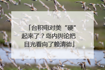 台积电对美“硬”起来了？岛内舆论把目光看向了赖清德