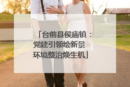 台前县侯庙镇：党建引领绘新景 环境整治焕生机