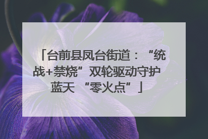 台前县凤台街道：“统战+禁烧”双轮驱动守护蓝天 “零火点”