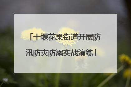 十堰花果街道开展防汛防灾防溺实战演练