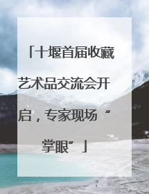 十堰首届收藏艺术品交流会开启，专家现场“掌眼”