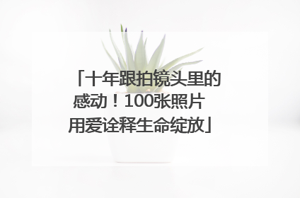 十年跟拍镜头里的感动！100张照片用爱诠释生命绽放