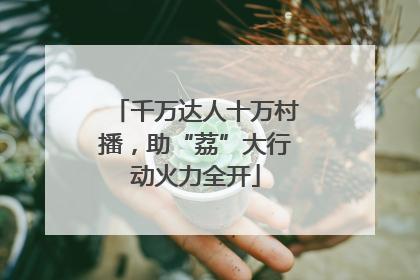 千万达人十万村播，助“荔”大行动火力全开