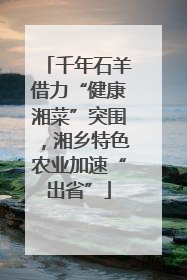 千年石羊借力“健康湘菜”突围，湘乡特色农业加速“出省”