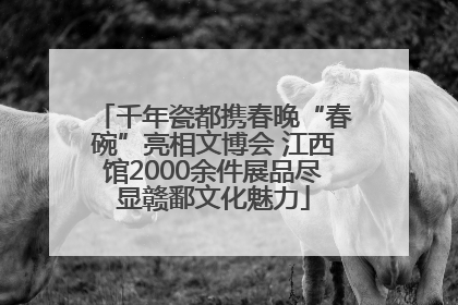 千年瓷都携春晚“春碗”亮相文博会 江西馆2000余件展品尽显赣鄱文化魅力