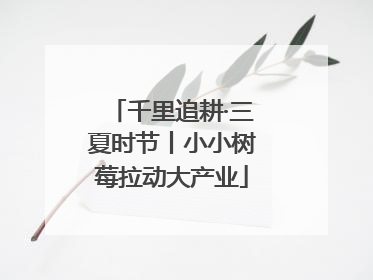 千里追耕·三夏时节丨小小树莓拉动大产业