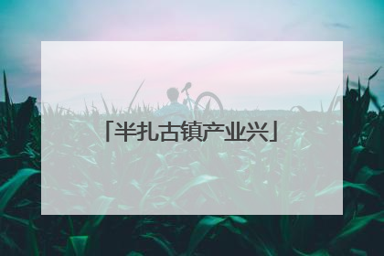 半扎古镇产业兴