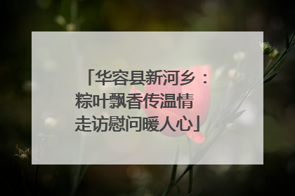 华容县新河乡：粽叶飘香传温情 走访慰问暖人心