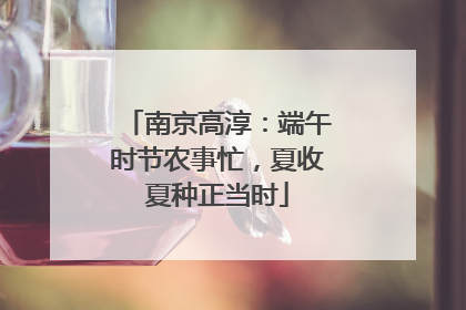 南京高淳：端午时节农事忙，夏收夏种正当时