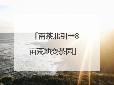 南茶北引→8亩荒地变茶园