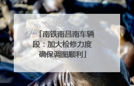 南铁南昌南车辆段：加大检修力度确保调图顺利