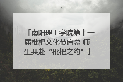 南阳理工学院第十一届枇杷文化节启幕 师生共赴“枇杷之约”
